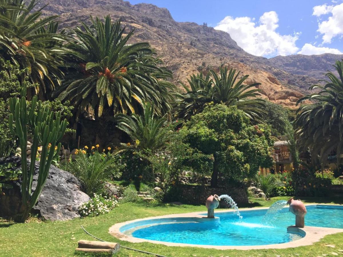 Paraiso Las Palmeras Lodge Кабанаконде Экстерьер фото